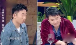 爆料杨迪的视频大全最新,揭秘明星幕后趣事与真实一面